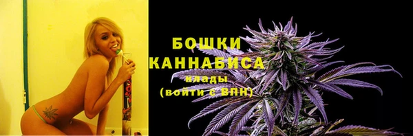 метадон Новозыбков