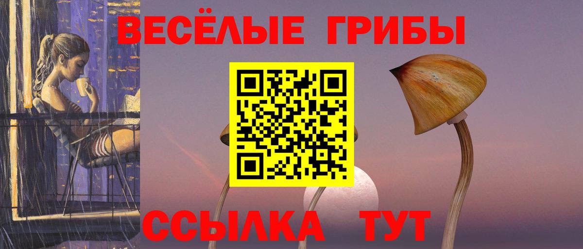 Псилоцибиновые грибы Cubensis Майкоп
