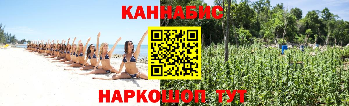 Бошки марихуана марихуана Майкоп